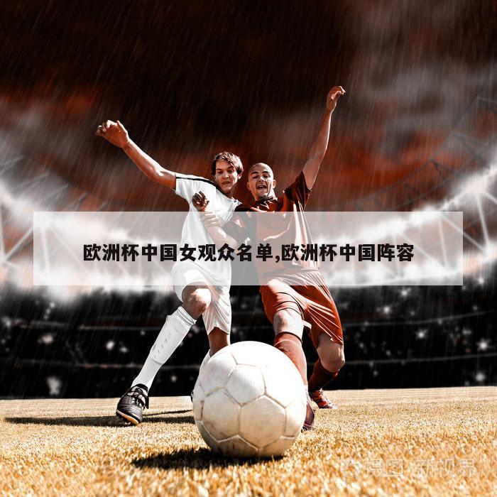 欧洲杯中国女观众名单,欧洲杯中国阵容